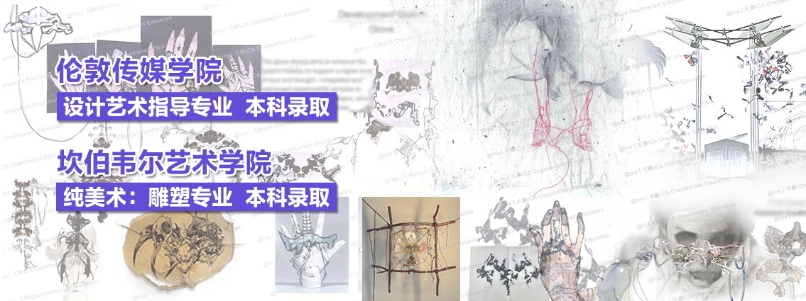 从国内艺考到艺术留学，从Fashion到Fine art，成功追梦伦艺丨天麟ICA预科生Iris专访 